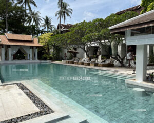 หินปูสระว่ายน้ำ หินธรรมชาติ