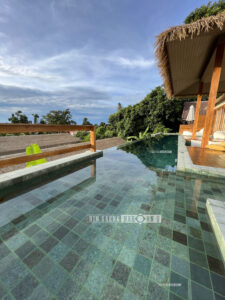 หินปูสระว่ายน้ำ หินธรรมชาติ