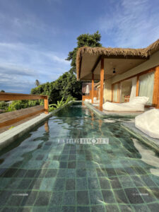 หินปูสระว่ายน้ำ หินธรรมชาติ