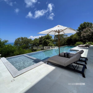 หินปูสระว่ายน้ำ หินธรรมชาติ