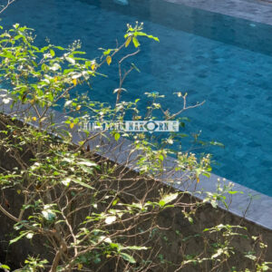 หินปูสระว่ายน้ำ หินธรรมชาติ