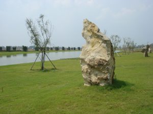 จำหน่ายหินธรรมชาติ, หินธรรมชาตินำเข้า, หินปูสระว่ายน้ำ, หินปูถนน, หินลูกเต๋า, หินปูพื้น, หินปูผนัง, หินตกแต่ง, หินทราย, หินจิ๊กซอว์, หินอ่อน, หินแกรนิต, หินบาหลี, หินซูกาบูมิ, หินปูพื้นระเบียง, หินภูเขาไฟ, หินลาวา, หินชนวน, หินลามสโตน, หินวีเนียร์, หินปูหลังคา, หินโมเสค, หินกรวด, หินบ่อน้ำพุ, หินปูภายใน, หินปูภายนนอก, หินทางเดิน, หินตกแต่งสวน, หินกรุผนัง, หินปูผนัง, นักออกแบบ, สถาปนิก, คลับเฮาส์, โรงแรม, รีสอร์ท Natural Stone Supplier, stone import, swimming pool tiles, natural stone pool tiles, natural stone pavers, natural stone cobblestone, basalt cobblestone, flooring, wall cladding, decoration stone, sandstone, marble, granite, bali stone, sukabumi, volcanic stone, slate, roofing slate, limestone, veneer stone, natural stone mosaic, pebbles, splits, fountain stone, interior wall cladding, exterior wall cladding, interior floor, exterior floor, walkway, gardening, pool terrace, pool deck, cladding, designer, architect, club house, hotel, resort, lavastone, stone wall panel, bluestone, sky blue, silver grey