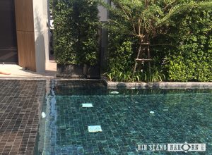 จำหน่ายหินธรรมชาติ, หินธรรมชาตินำเข้า, หินปูสระว่ายน้ำ, หินปูถนน, หินลูกเต๋า, หินปูพื้น, หินปูผนัง, หินตกแต่ง, หินทราย, หินอ่อน, หินแกรนิต, หินบาหลี, หินซูกาบูมิ, หินปูพื้นระเบียง, หินภูเขาไฟ, หินชนวน, หินลามสโตน, หินวีเนียร์, หินปูหลังคา, หินโมเสค, หินกรวด, หินบ่อน้ำพุ, หินปูภายใน, หินปูภายนนอก, หินทางเดิน, หินตกแต่งสวน, หินกรุผนัง, หินปูผนัง, นักออกแบบ, สถาปนิก, คลับเฮาส์, โรงแรม, รีสอร์ท Natural Stone Supplier, stone import, swimming pool tiles, natural stone pool tiles, natural stone pavers, natural stone cobblestone, basalt cobblestone, flooring, wall cladding, decoration stone, sandstone, marble, granite, bali stone, sukabumi, volcanic stone, slate, roofing slate, limestone, veneer stone, natural stone mosaic, pebbles, splits, fountain stone, interior wall cladding, exterior wall cladding, interior floor, exterior floor, walkway, gardening, pool terrace, pool deck, cladding, designer, architect, club house, hotel, resort