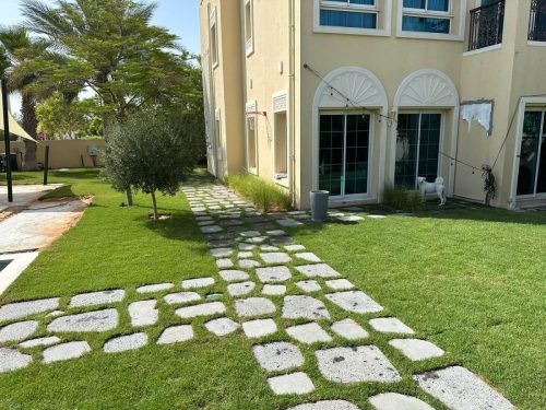 hsn-etna-lava-sawn-step-stone-hand-split-edge-garden-path-installed-wide