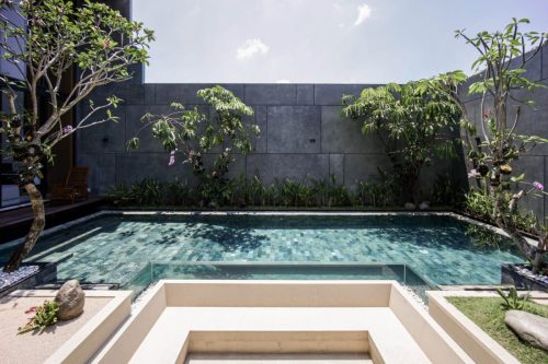 hsn-silver-shine-swimming-pool-tiles-exterior-plants-side-view
