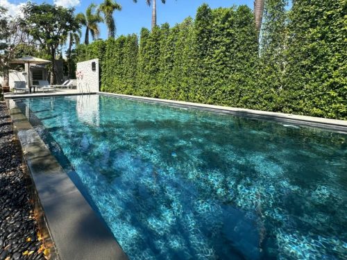 hsn-skyblue-sw-clean-edge-pool