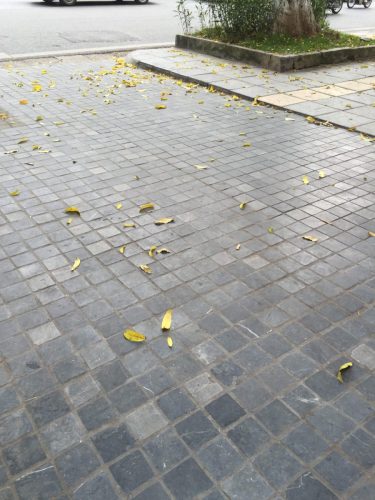 hsn-bluestone-vibrated-exterior-sidewalk-leaves